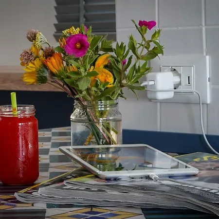 Lamorosa Hotel Rimini